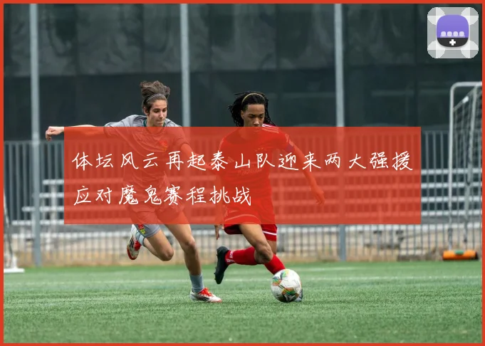 体坛风云再起泰山队迎来两大强援应对魔鬼赛程挑战