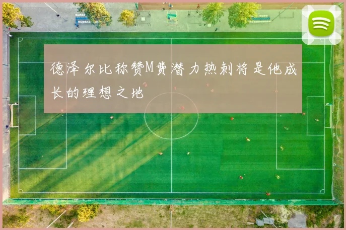 德泽尔比称赞M费潜力热刺将是他成长的理想之地